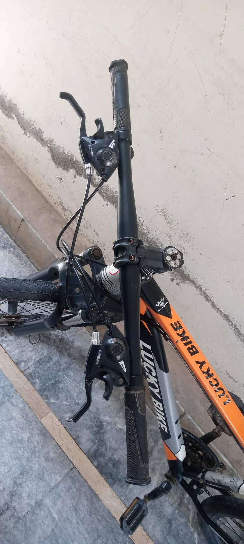 Bicycle 3