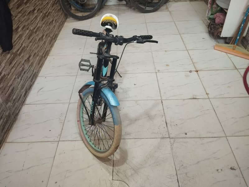 Bicycle 2 0