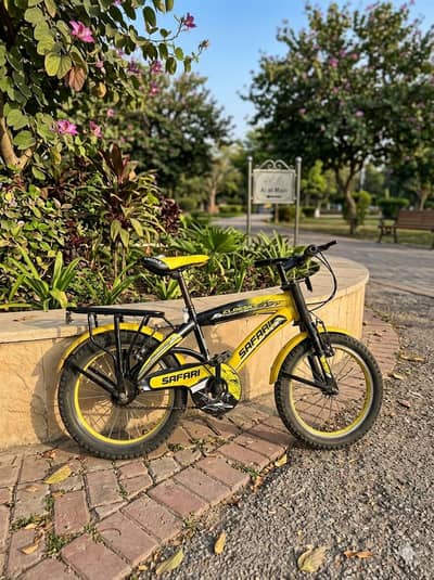  Kids Safari Cycle (5-7 Years) - Like New! ‍