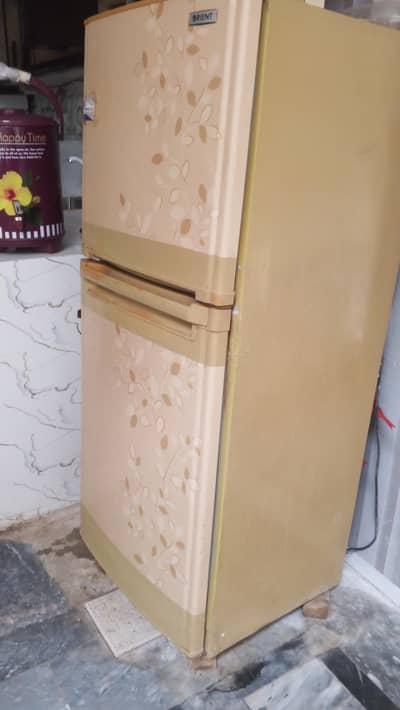 Orient medium size. 03467766705