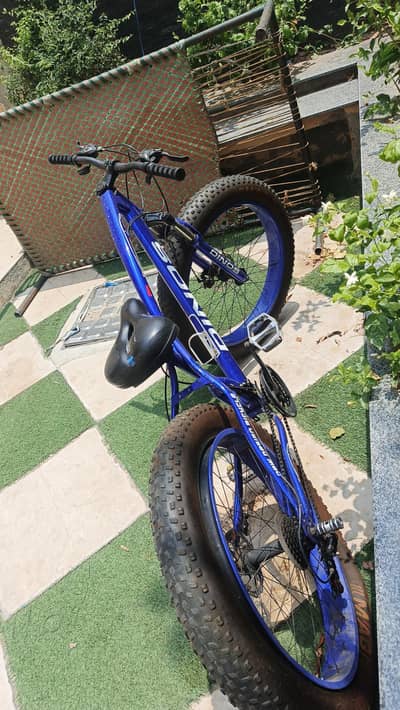 looking montain bike
