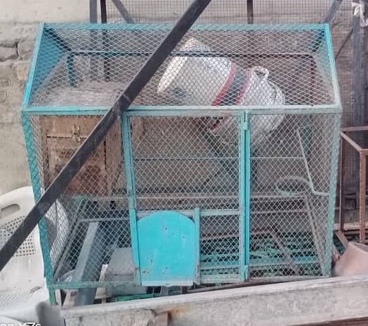 Hen Cages 1