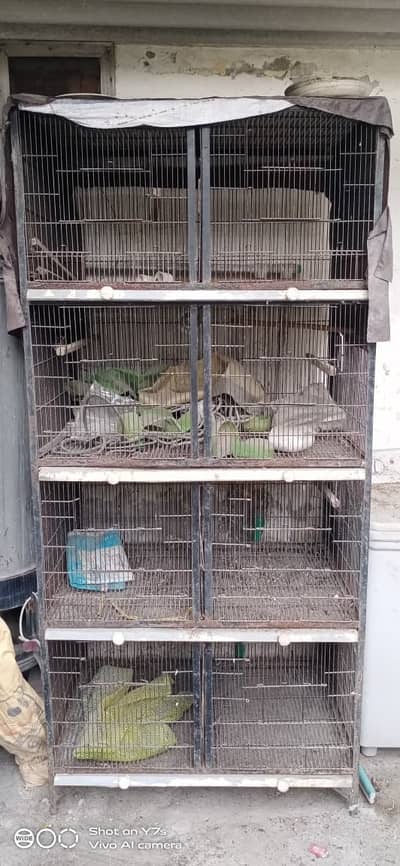 Hen Cages