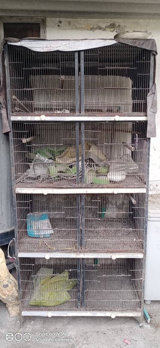 Hen Cages 2