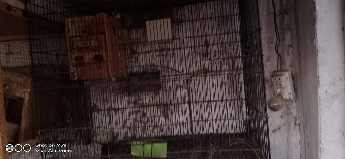 Hen Cages 3