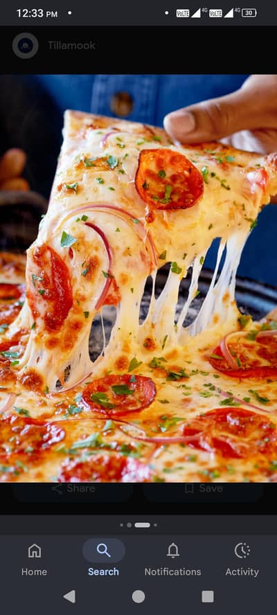 ma pizza zinger burger sheff hu I need job