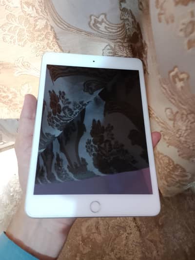 Ipad mini 5 [256gb]
