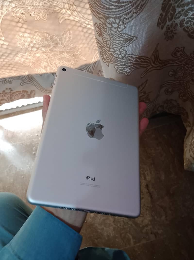 Ipad mini 5 [256gb] 1