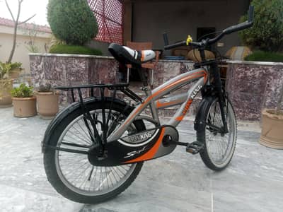 Lion King Bicycle – Good Condition (Needs Minor Brake Service)