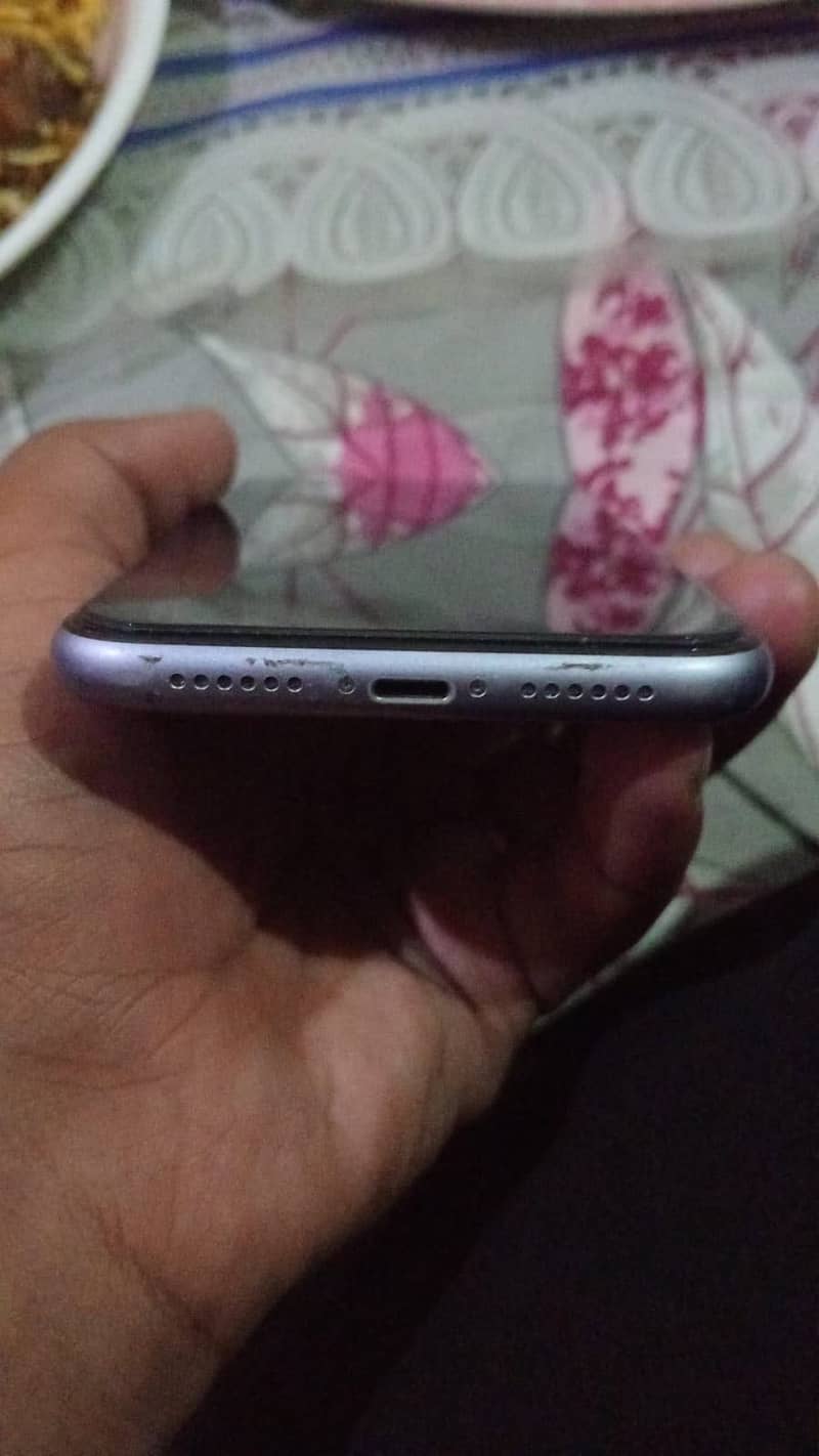 Apple iPhone 11 2