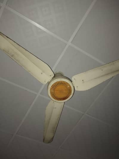 Ceiling Fan for sale//condition good//100%coper winding//All okay
