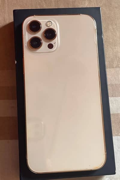 Apple iPhone 12 Pro Max