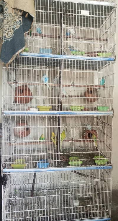 Master folding cage 4 floor