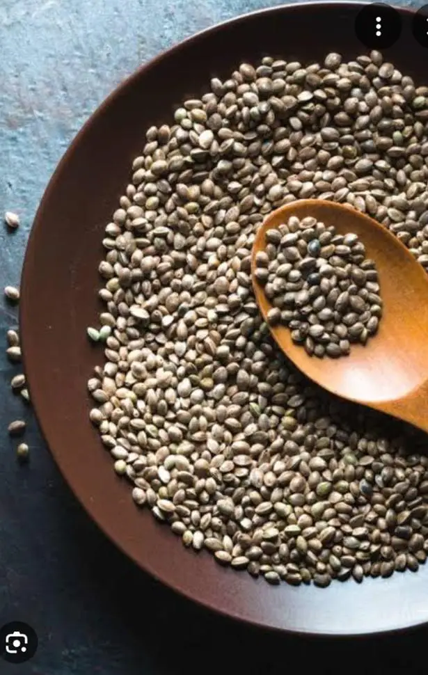 bhang seeds | hemp seeds  for birds and live stock 1 kg rate — photo 3