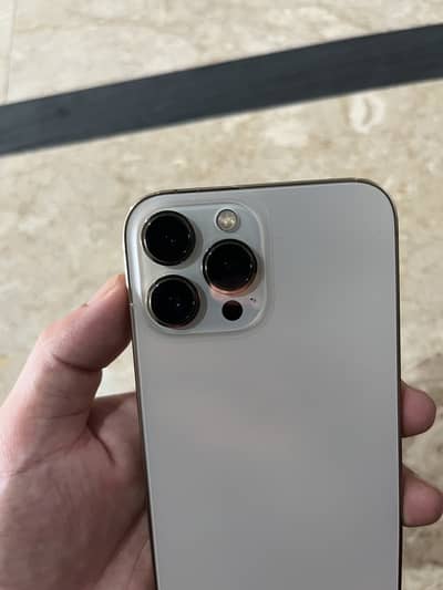 Apple iPhone 13 Pro Max