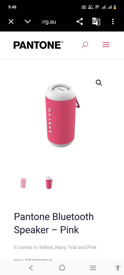 Bluetooth speaker