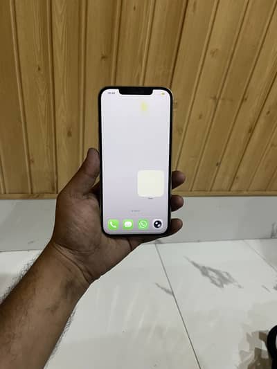 Apple iPhone 12 Pro Max