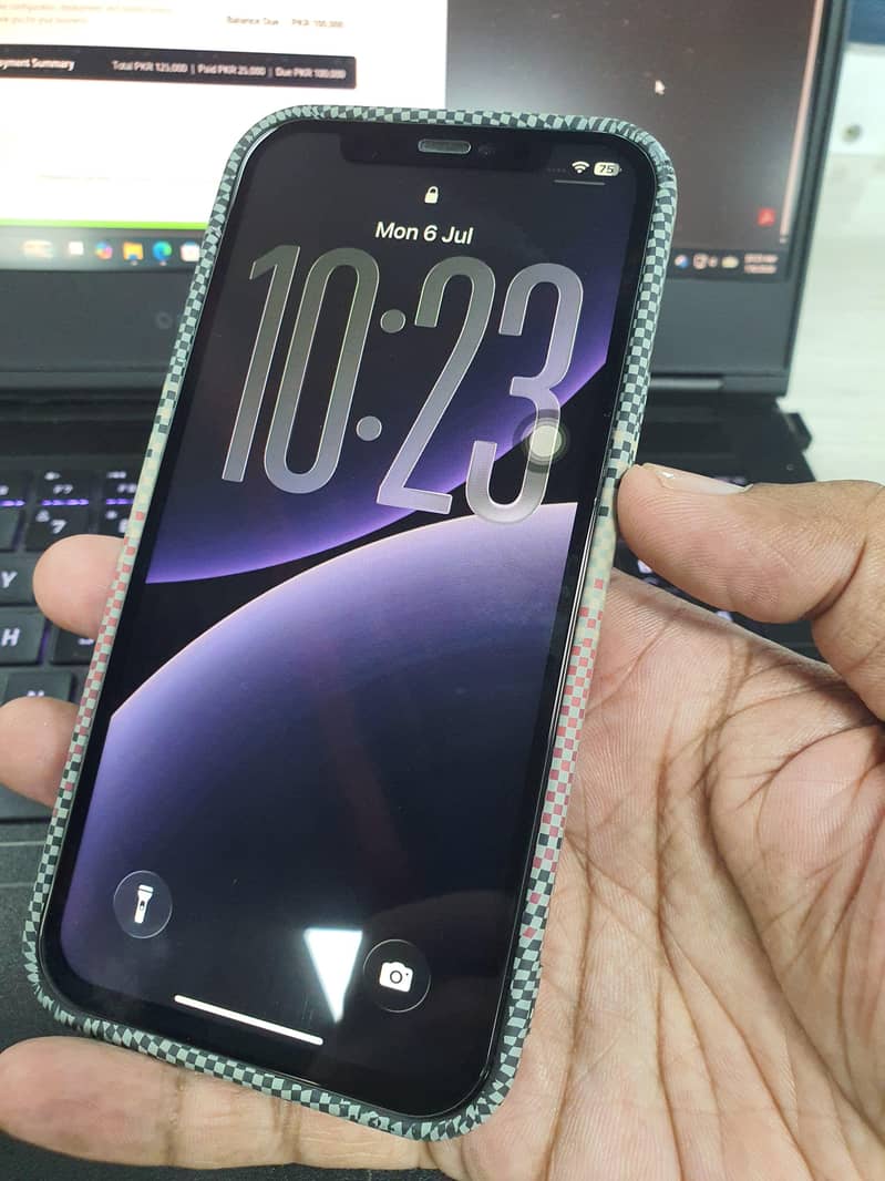 IPhone 12 Pro Panel available 2