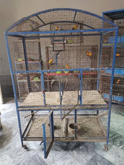 parrot cage
