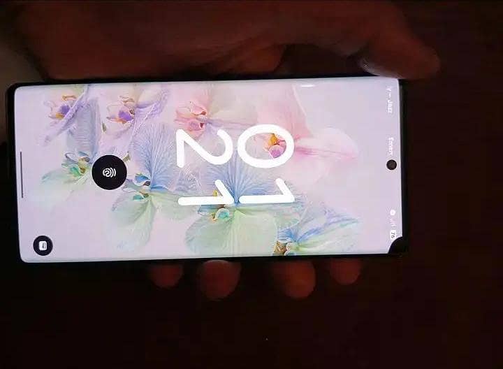 Google Pixel 6 Pro 0