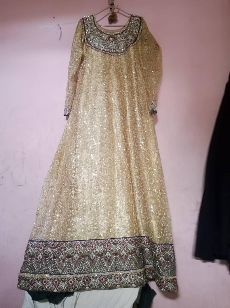 maxi bridel 2