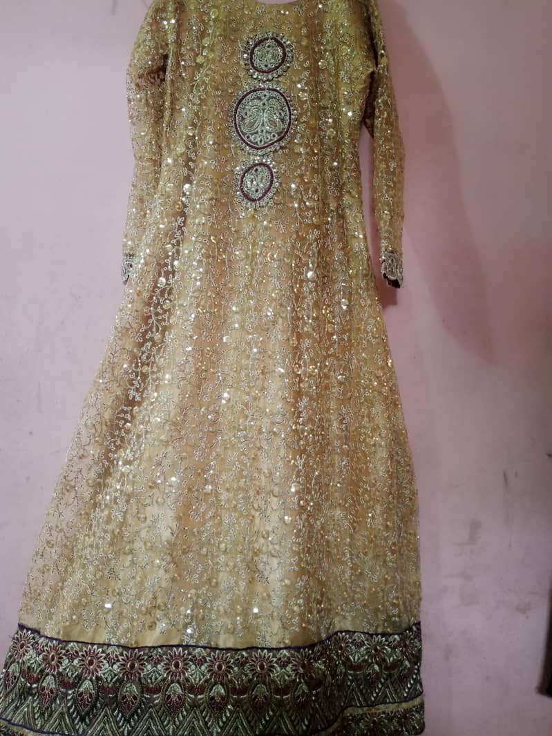 maxi bridel 5