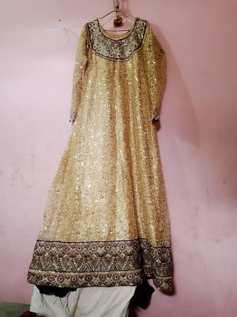 maxi bridel 9