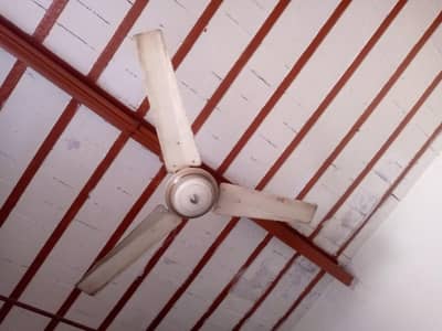 Ceiling Fan