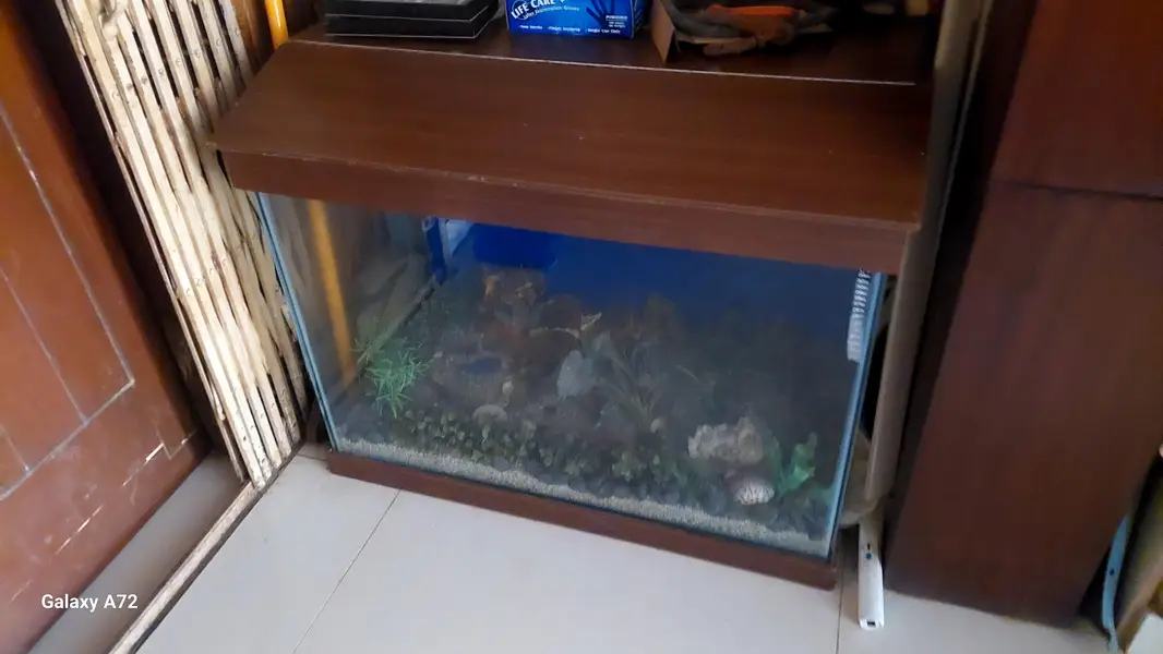 Fish Aquarium for Sale
