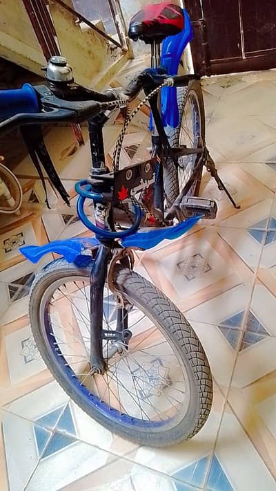VIP cycle