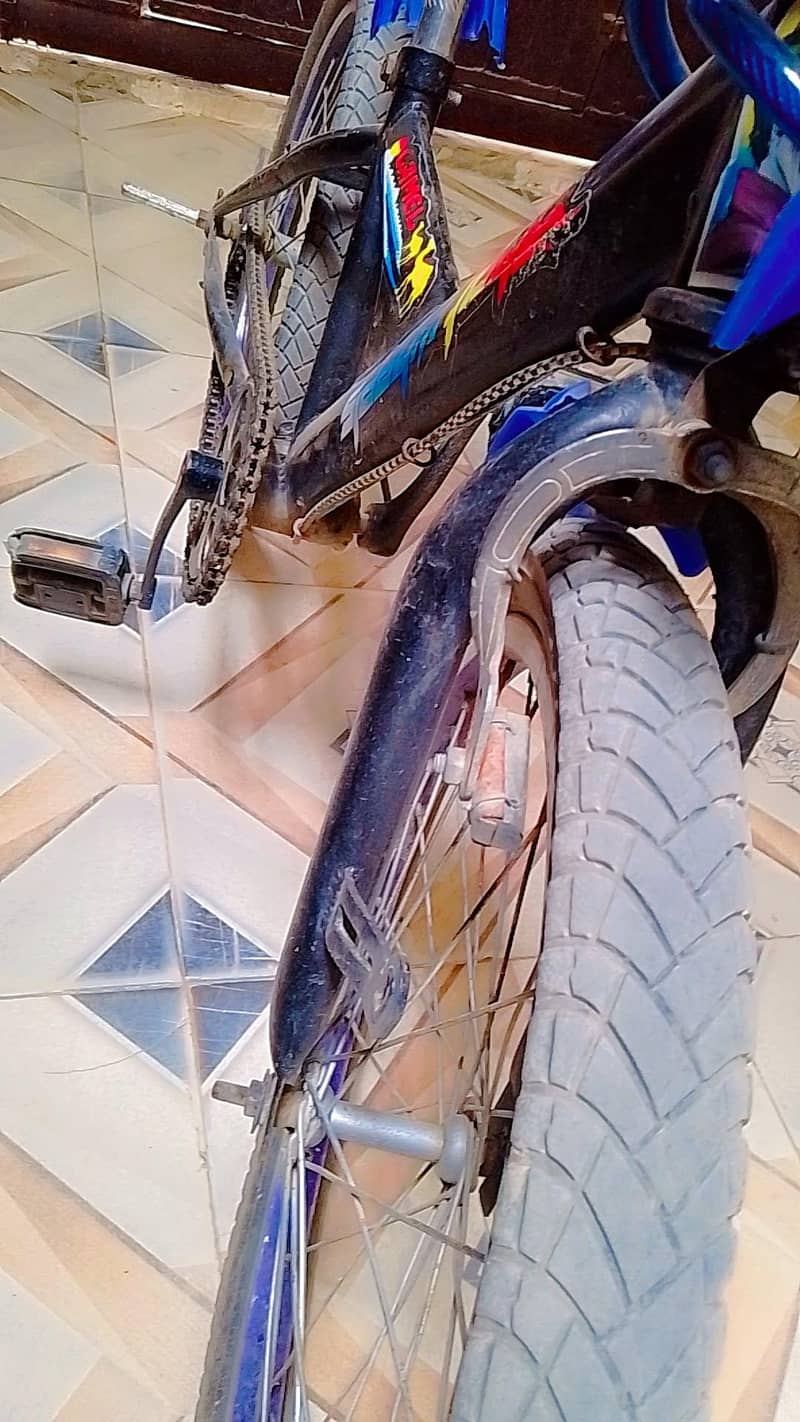 VIP cycle 2