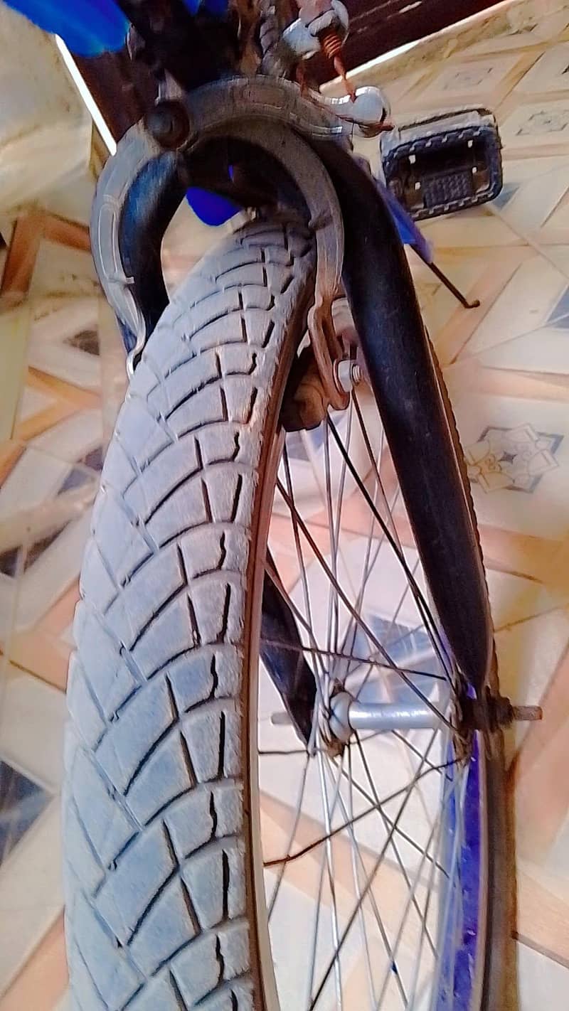 VIP cycle 3
