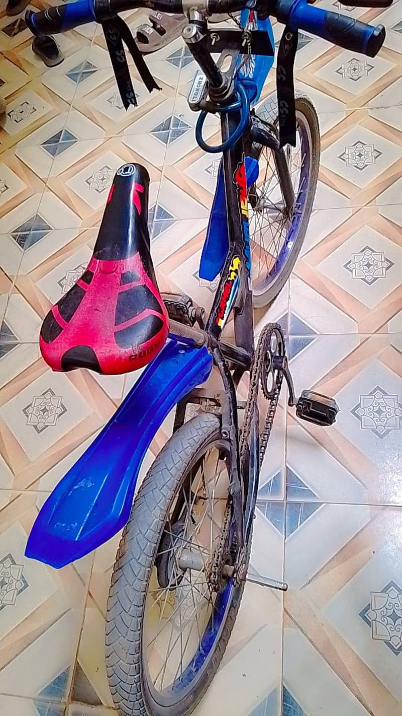 VIP cycle 6