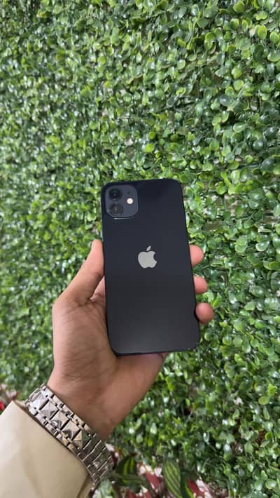 Apple iPhone 12
