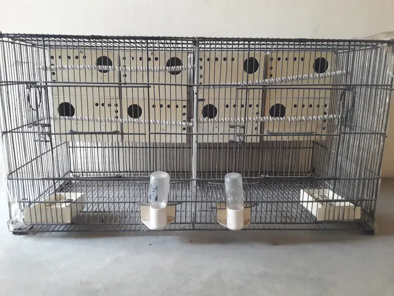 Cages for Birds