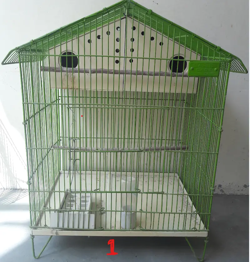 Cages for Birds — photo 3
