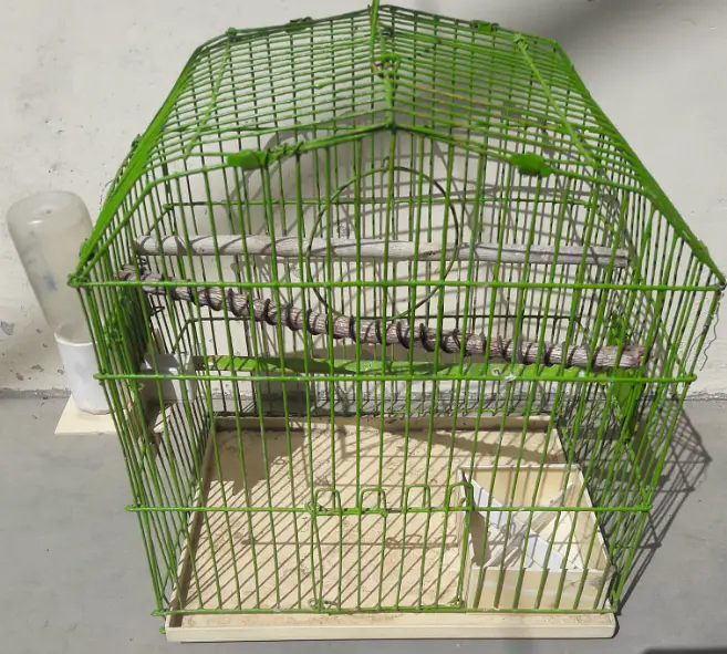 Cages for Birds — photo 6
