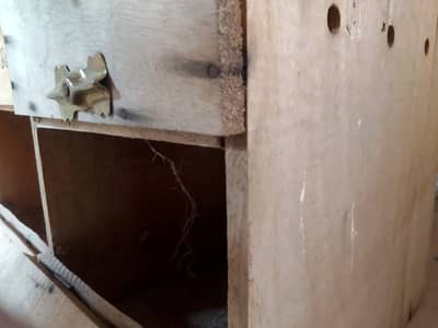 Lovebird breading box