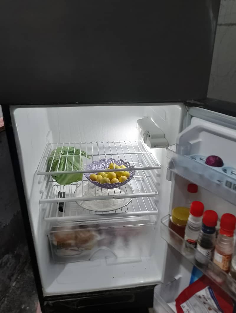 frige 1