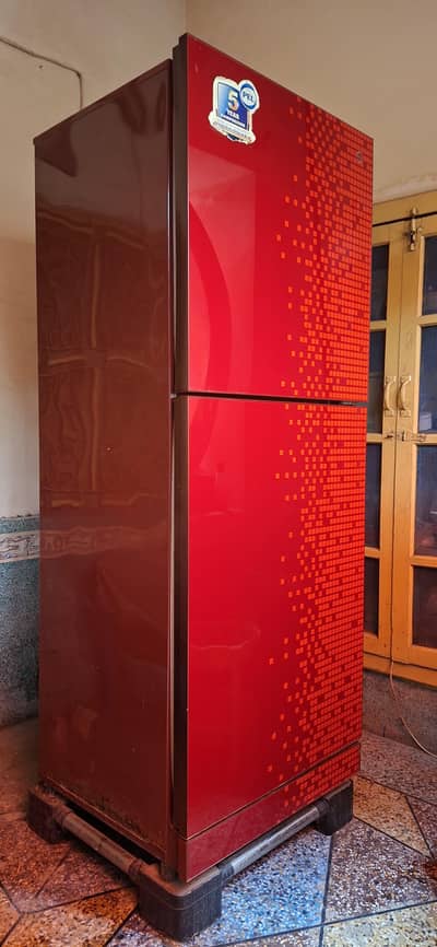 PEL GLASS DOOR JUMBO SIZE FRIDGE