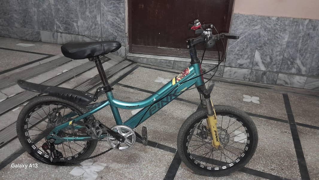 bicycle 2