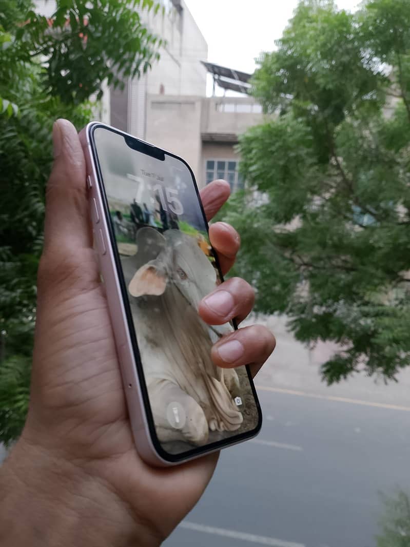 Apple iPhone 13 6