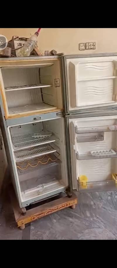 frige