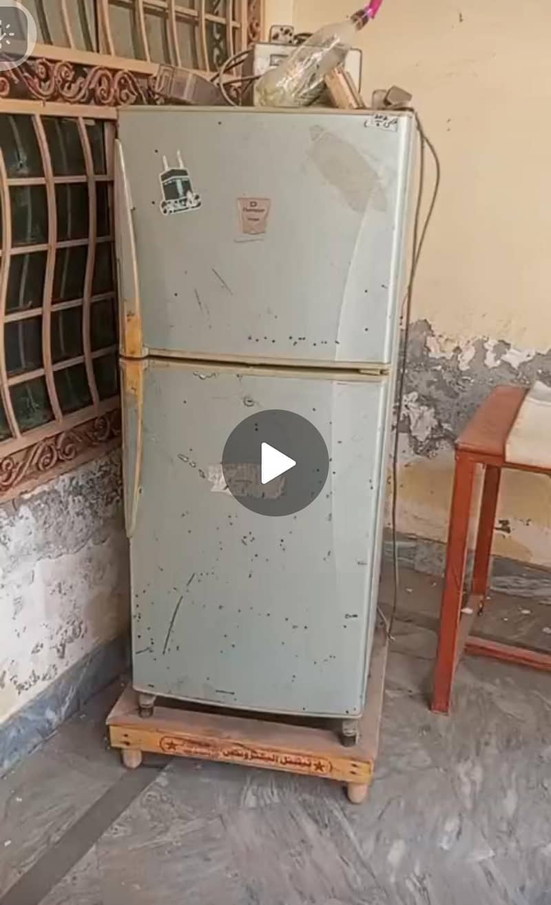 frige 1