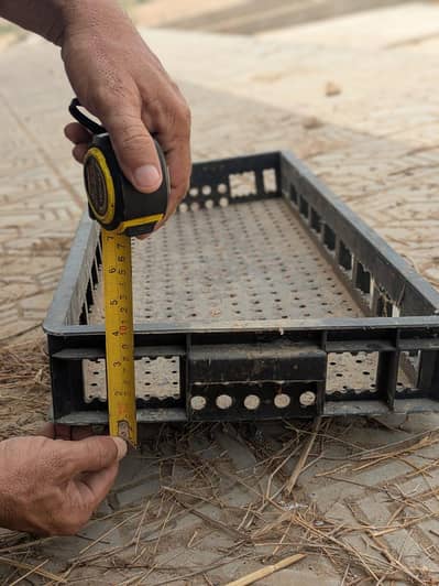 plastic trays
