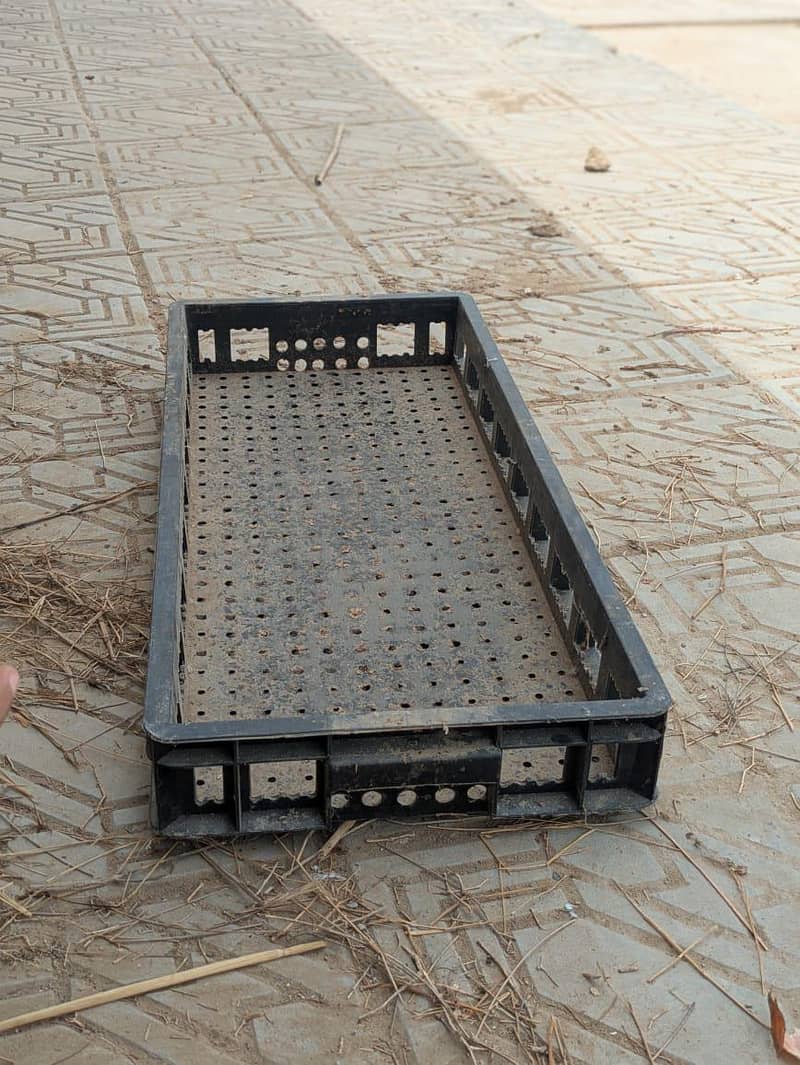 plastic trays 1