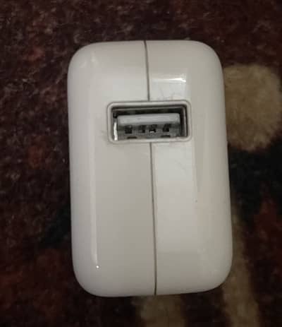 Iphone Original Charger