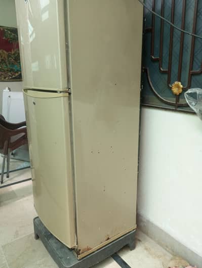 Pell Refrigerator For Sale [fnl 23]