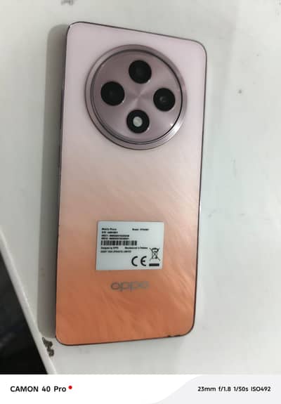 Model oppo reno 12 f 8 256 gb