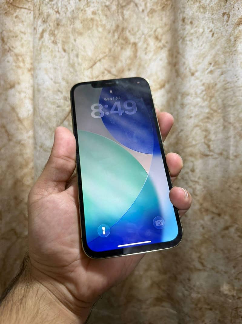 Apple iPhone 12 Pro Max 2